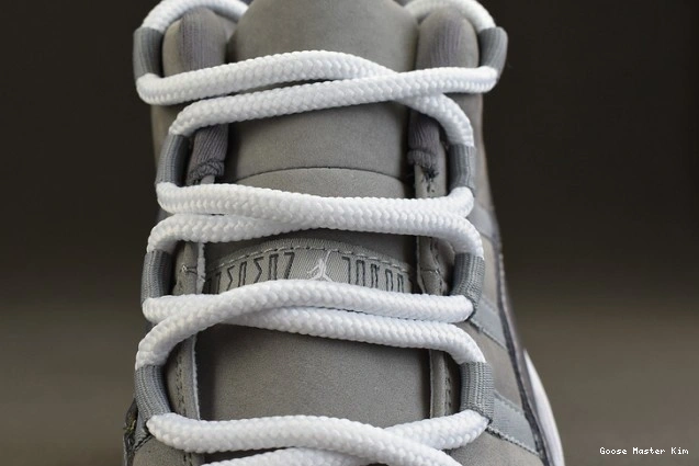 11 Air Grey Jordan Cool Low 528895-003 0820